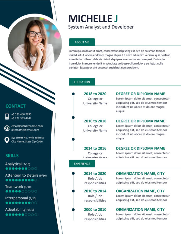 IT professional resume template (Ms Word)